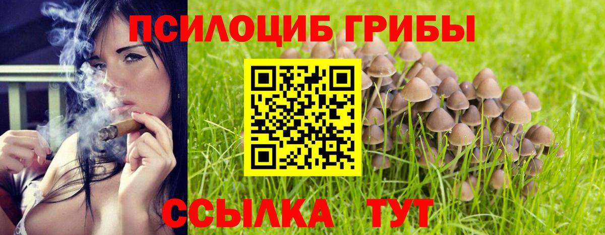 Подольск  Галлюциногенные грибы MAGIC MUSHROOMS  Вход с VPN 