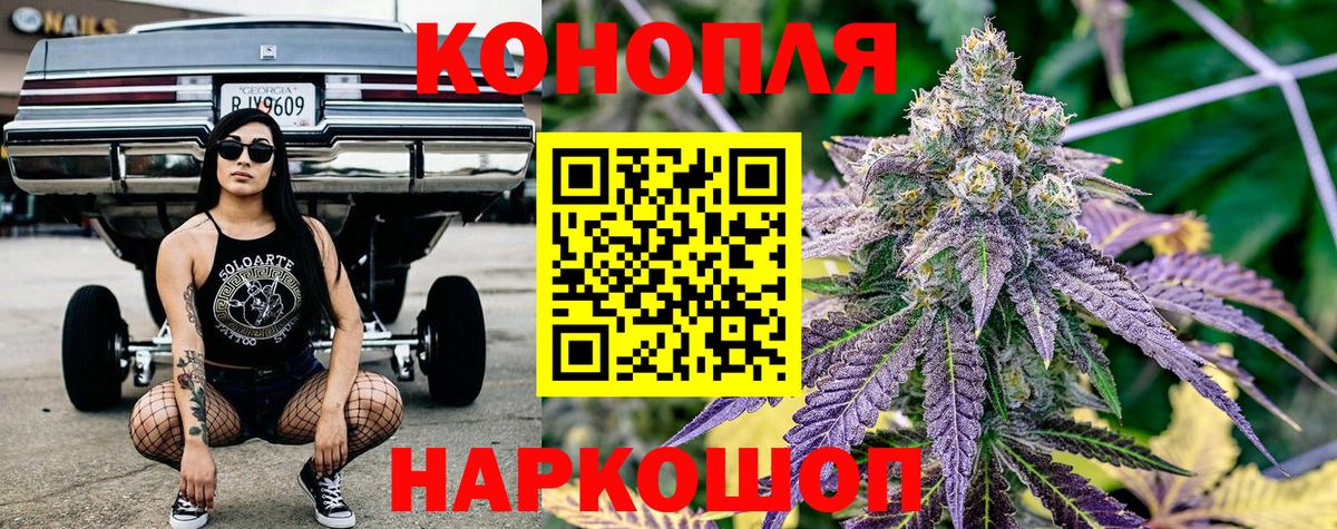 Конопля план Подольск